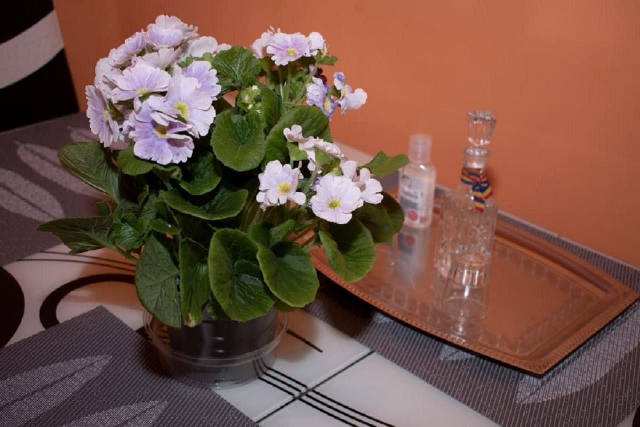 Central Apartment Maria Sibiu Extérieur photo